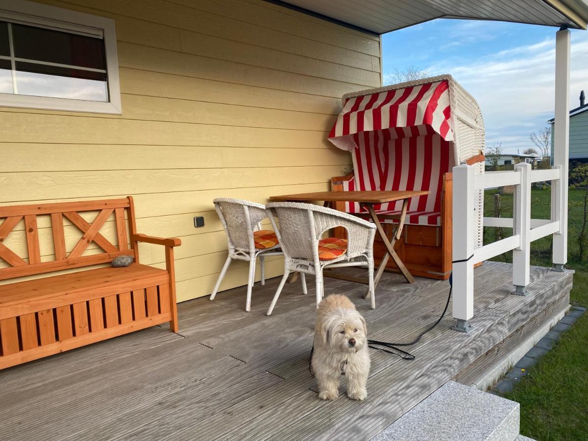 Ostermade Klintdoerp 110 Hotel Michaelsdorf  Екстериор снимка